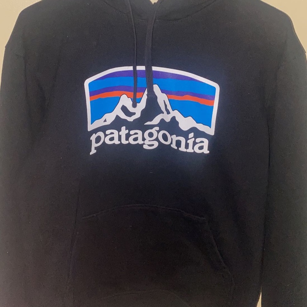 Patagonia fitz roy horizon uprisal hoodie